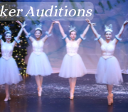 AUDITIONS BANNER